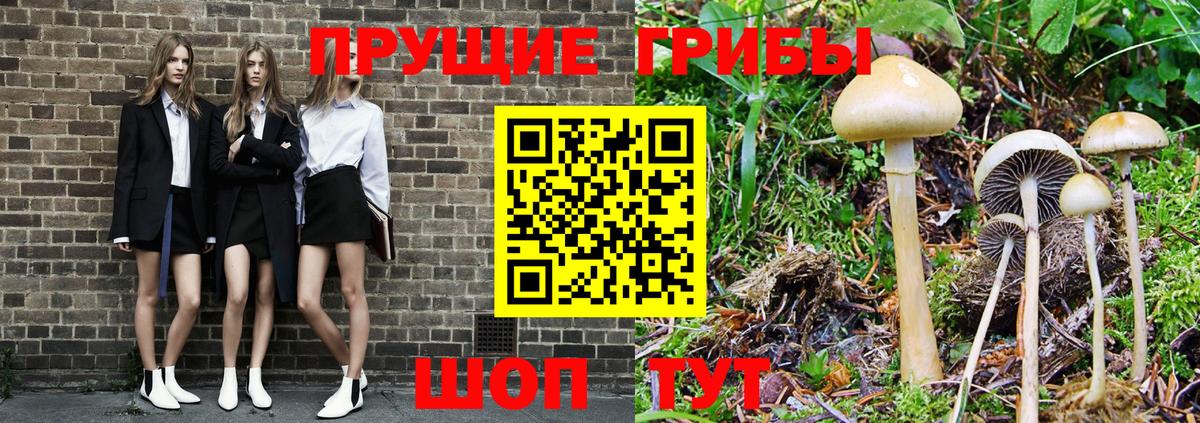 Галлюциногенные грибы Psilocybe  Псилоцибиновые грибы MAGIC MUSHROOMS  Вход с VPN  Канск 